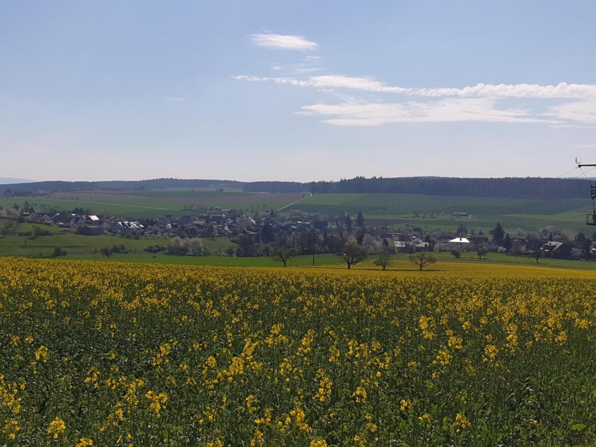 Pension Zum Adler Limbach  Dış mekan fotoğraf